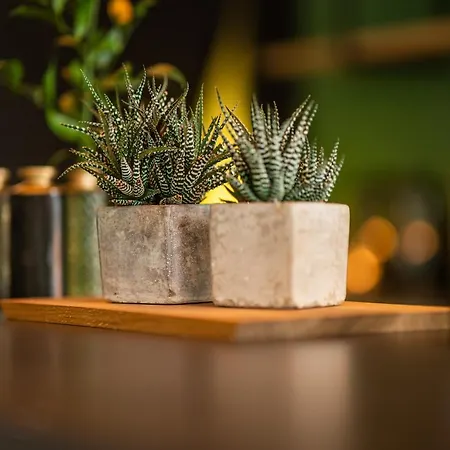 Ξενοδοχείο Alemannenhof - Boutique Am Titisee Hinterzarten