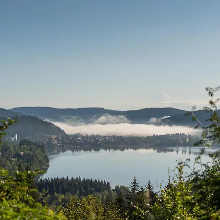 Hotel Alemannenhof - Boutique Am Titisee 4*