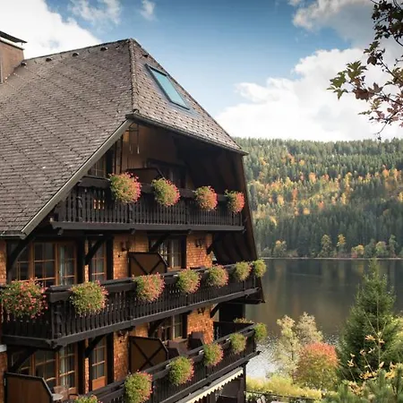 Alemannenhof - Boutique Am Titisee 4*