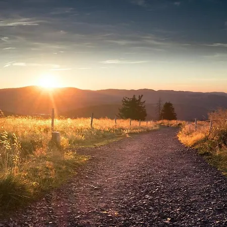 Alemannenhof - Boutique Am Titisee 4*