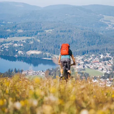 호텔 Alemannenhof - Boutique Am Titisee