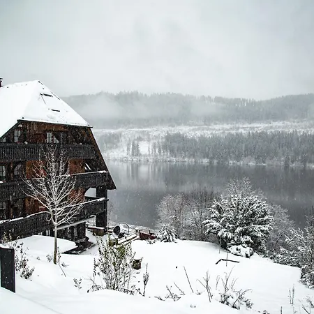 Alemannenhof - Boutique Am Titisee Hotel Hinterzarten