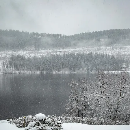 Alemannenhof - Boutique Am Titisee Hinterzarten