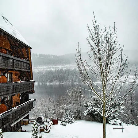 Alemannenhof - Boutique Am Titisee 4* Hinterzarten