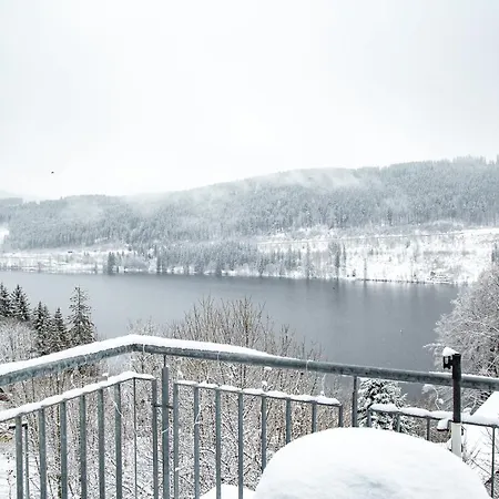 Alemannenhof - Boutique Am Titisee 4* 힌터짤텐