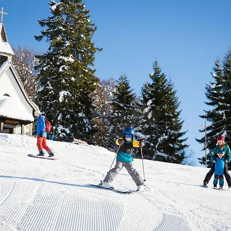 Alemannenhof - Boutique Am Titisee 4*