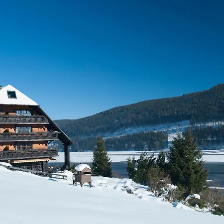 Alemannenhof - Boutique Am Titisee 4*