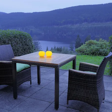 Hotel Alemannenhof - Boutique Am Titisee Hinterzarten