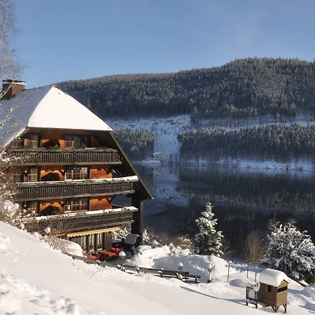 Hotel Alemannenhof - Boutique Am Titisee Hinterzarten