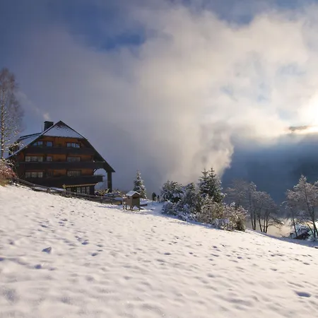 Alemannenhof - Boutique Am Titisee
