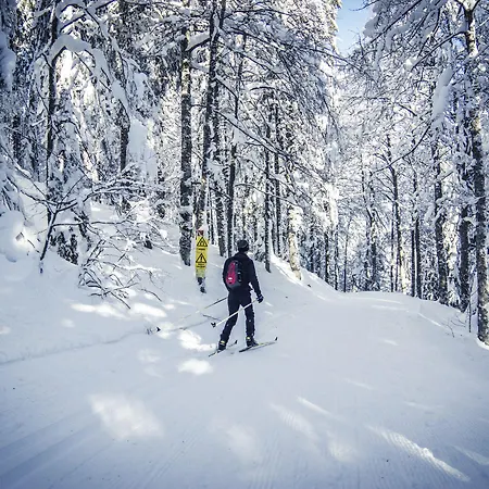 Alemannenhof - Boutique Am Titisee 4* Hinterzarten
