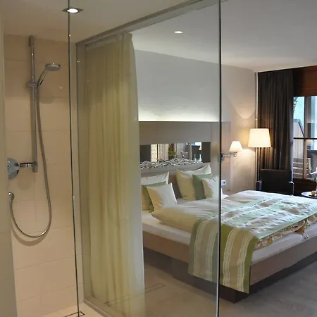 Hotel Alemannenhof - Boutique Am Titisee 4*